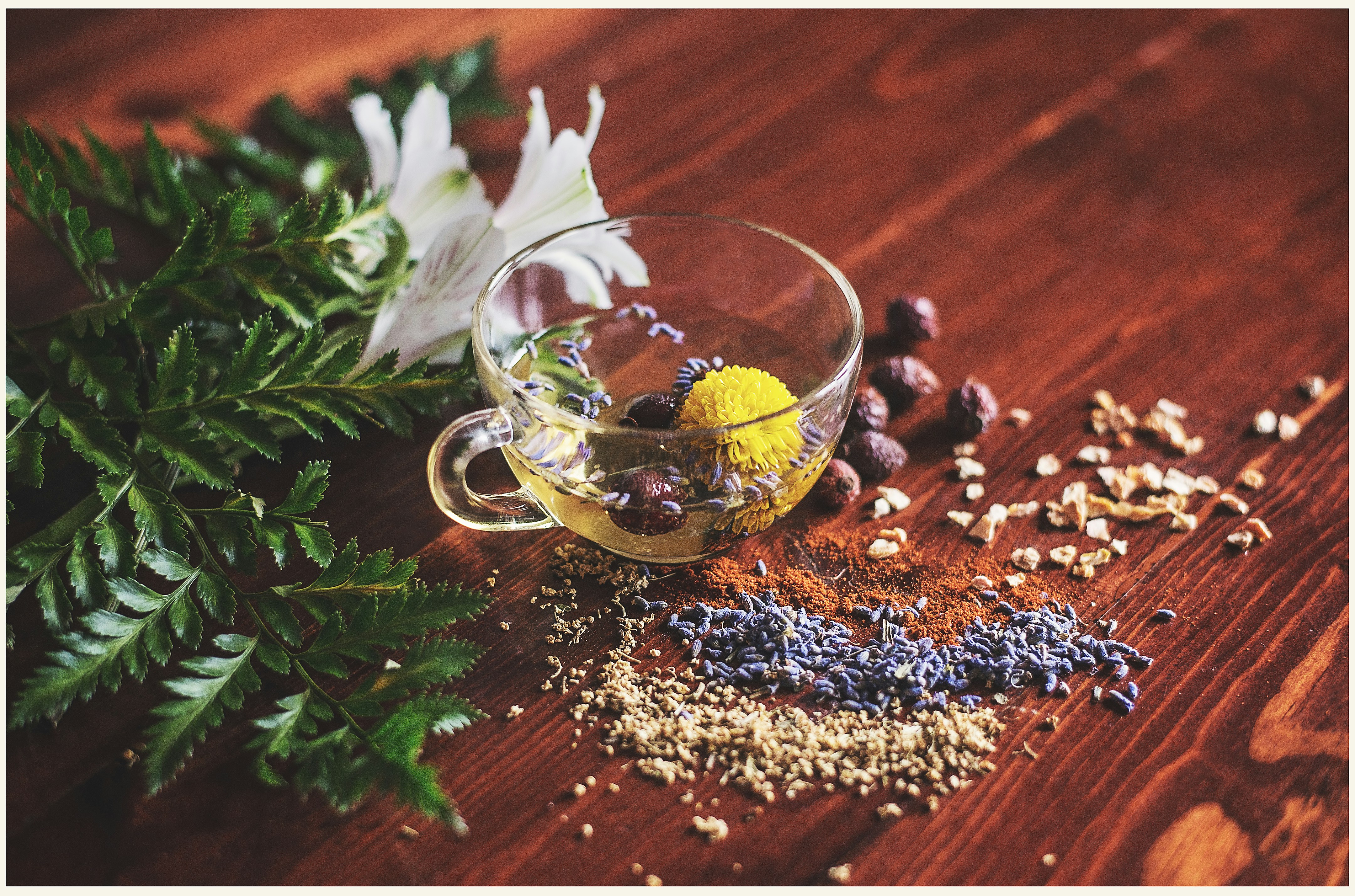 Holistic Ayurvedic Healing
